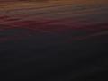 DSCN0273